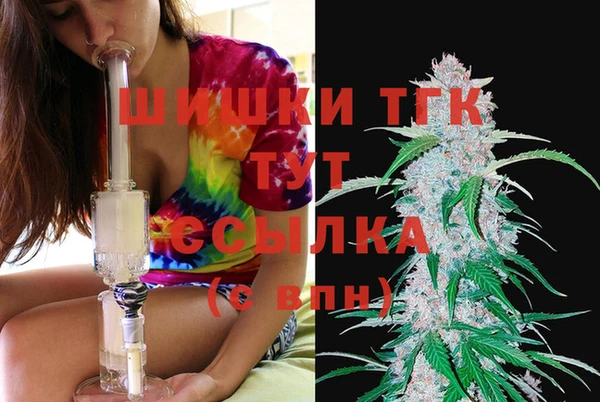 крисы Чегем