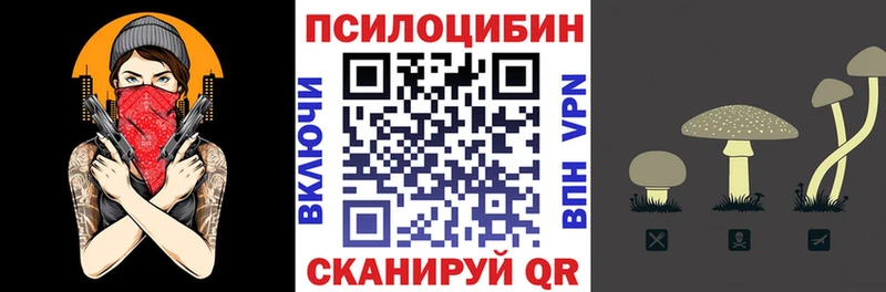 Псилоцибиновые грибы Cubensis Щучье